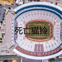 死亡貓鈴