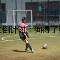 死亡倒計時：狗得了腦炎能否逆轉(zhuǎn)乾坤？