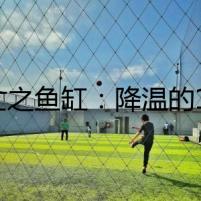 死亡之魚(yú)缸：降溫的13個(gè)方法