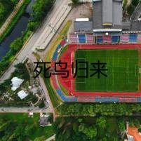 死鳥歸來(lái)