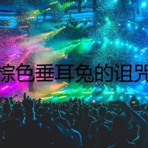 棕色垂耳兔的詛咒