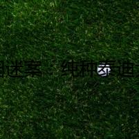 校園迷案：純種泰迪犬奇遇幼兒園