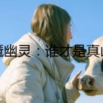 夢魘幽靈：誰才是真兇？