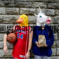 母畫眉鳥叫聲中的秘密