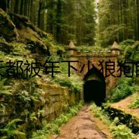 每天都被年下小狼狗盯上，我是他的獵物？