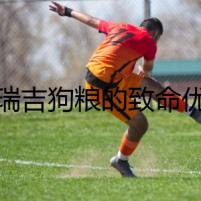 比瑞吉狗糧的致命優(yōu)惠