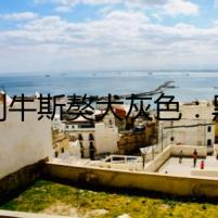 比利牛斯獒犬灰色：黑暗中的守護(hù)者