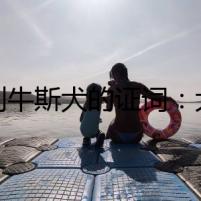 比利牛斯犬的證詞：大白熊的秘密