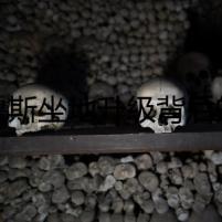 比魯斯坐地升級(jí)背后的恐怖