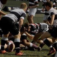 毛絨泰迪的幽靈信使