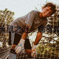 毛絲鼠之謎：病毒源頭
