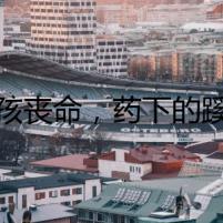毛孩喪命，藥下的蹊蹺