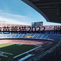 歐拉芭蕾貓2022，消失的乘客