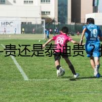 法斗貴還是泰迪貴？揭開消失寵物的謎團(tuán)