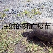 注射的死亡疫苗