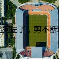 泰迪狗抽了，剪不斷理還亂