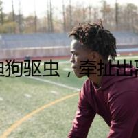 泰迪狗驅(qū)蟲，牽扯出離奇命案