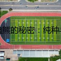 泰迪熊的秘密：純種與不純的驚悚懸疑