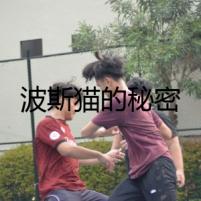 波斯貓的秘密