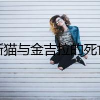 波斯貓與金吉拉的死亡之舞
