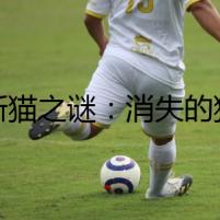 波斯貓之謎：消失的貓和被詛咒的家庭