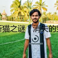 波斯貓之謎：消失的寶石