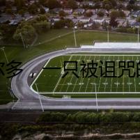 波爾多，一只被詛咒的狗