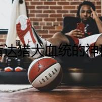 波音達(dá)獵犬血統(tǒng)的神秘詛咒
