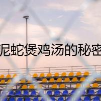 泥蛇煲雞湯的秘密