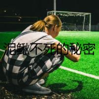 泥鰍不死的秘密