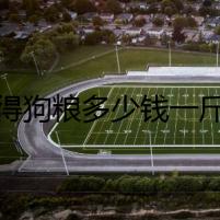 派得狗糧多少錢一斤？