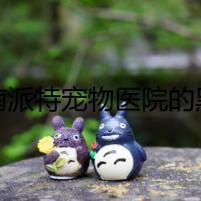 濟南派特寵物醫(yī)院的黑暗秘密