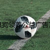 流浪狗領(lǐng)養(yǎng)公益廣告文案中的懸疑故事：失落的汪星人