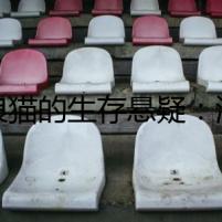 流浪貓的生存懸疑：消失的貓