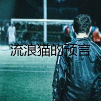 流浪貓的預(yù)言