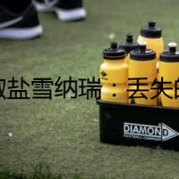 淺椒鹽雪納瑞：丟失的寶貝