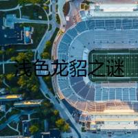 淺色龍貂之謎