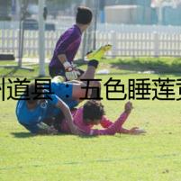 永州道縣：五色睡蓮競(jìng)相綻放