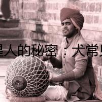 汪星人的秘密：犬常見(jiàn)病的治療小方法