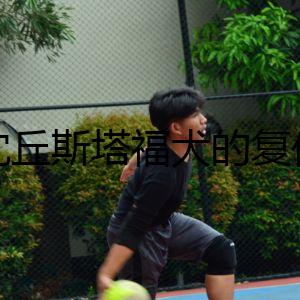 沈丘斯塔福犬的復(fù)仇