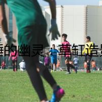 沉睡的幽靈：草缸造景背后的秘密