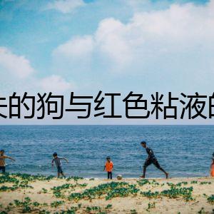 消失的狗與紅色粘液的機(jī)密