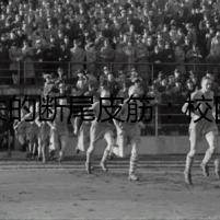 消失的斷尾皮筋：校園七宗罪