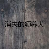 消失的領(lǐng)養(yǎng)犬