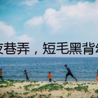 深夜巷弄，短毛黑背幼犬的哀鳴