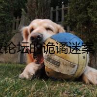 深夜論壇的詭譎迷案：貓爪論壇app官網(wǎng)下載背后的秘密