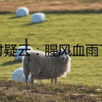 漁村疑云：腥風(fēng)血雨下的消亡之謎