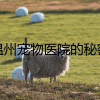 溫州寵物醫(yī)院的秘密