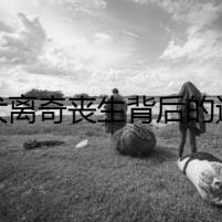 家犬離奇喪生背后的迷霧