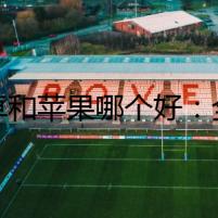 安卓和蘋果哪個好：全面對比解析